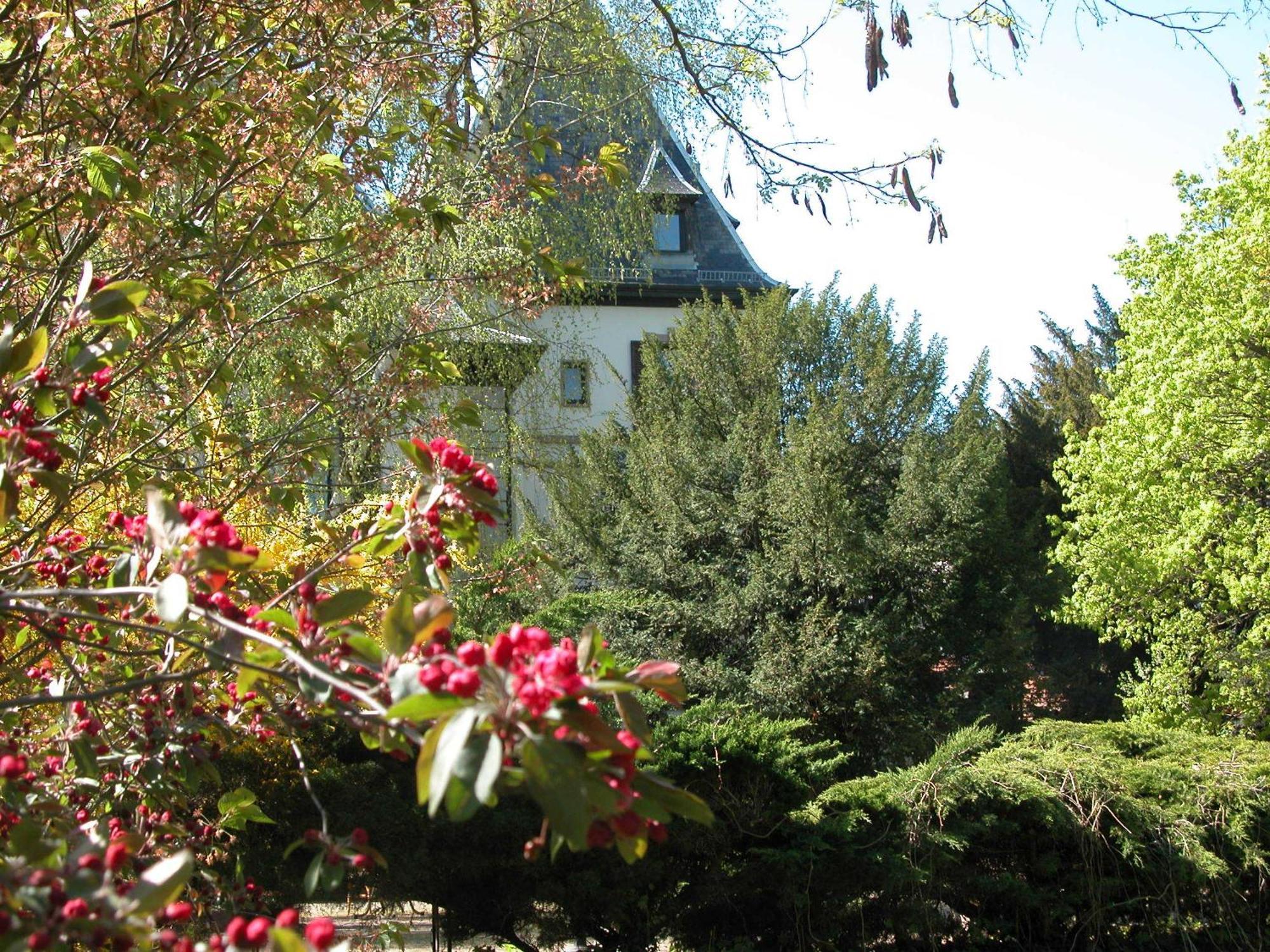 Domaine De Beaupre - Hotel The Originals Relais Guebwiller Exteriér fotografie